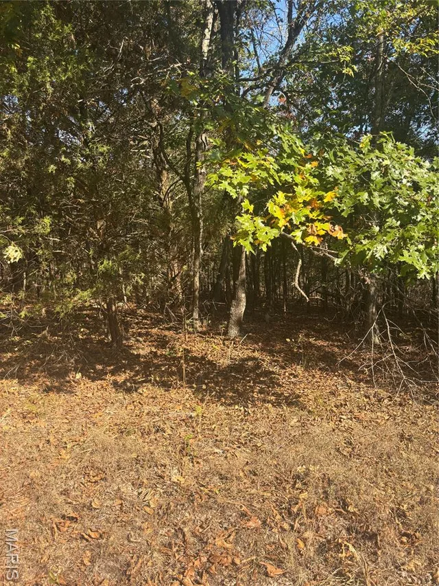 Primary bedroom — 2 Mo-72 Fredericktown Missouri real estate