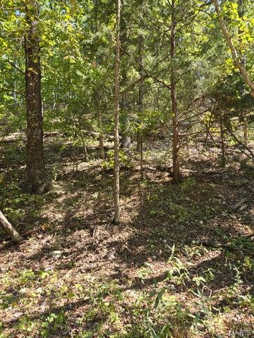 000 County Road 421, Birch Tree MO