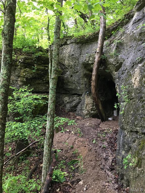 84 +/- Ac Buechele Road, New Florence MO real estate