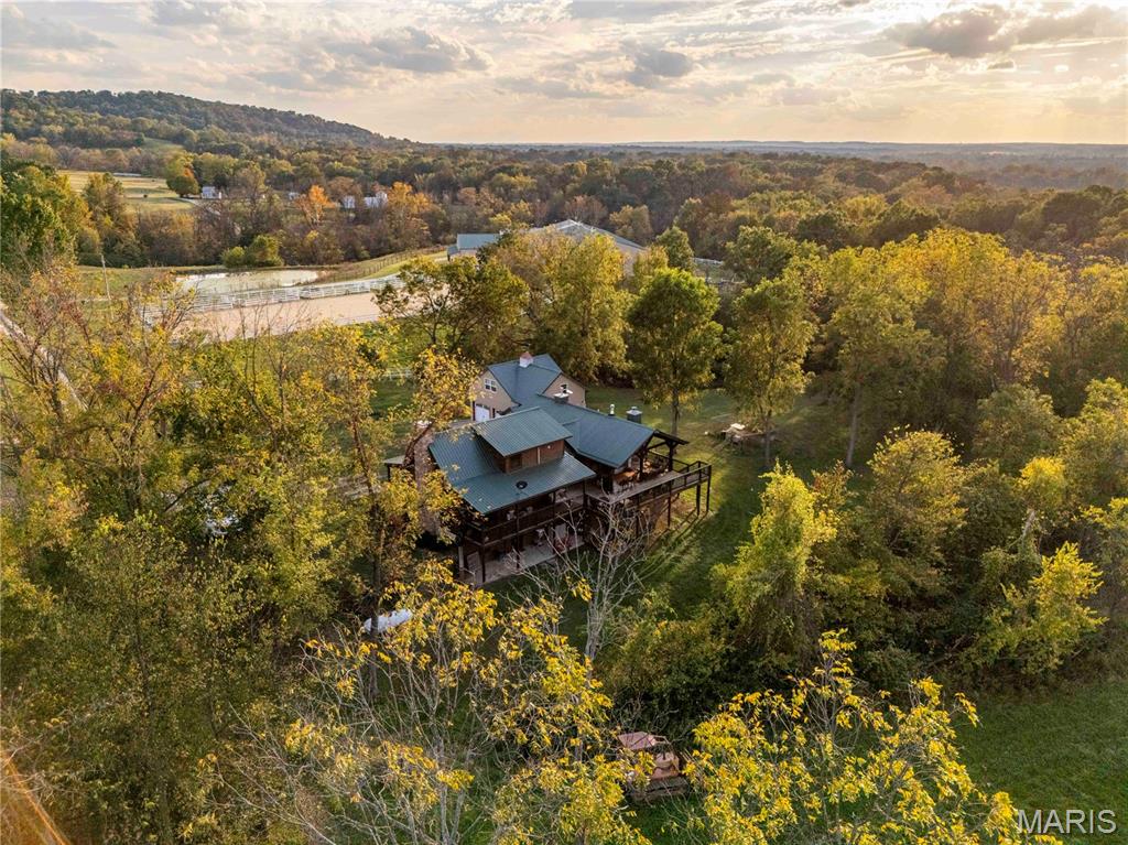 Photo 50