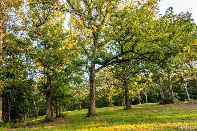 Front exterior — 0 Highway D - Tract 10 (14.4+/- Acres) Eolia Missouri real estate