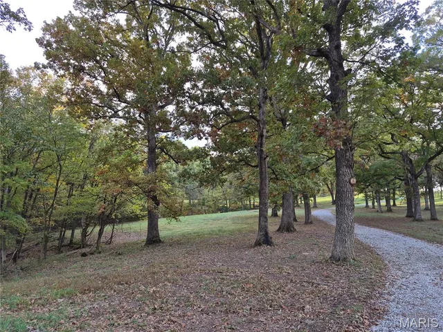 Kitchen — 0 Highway D - Tract 10 (14.4+/- Acres) Eolia Missouri real estate