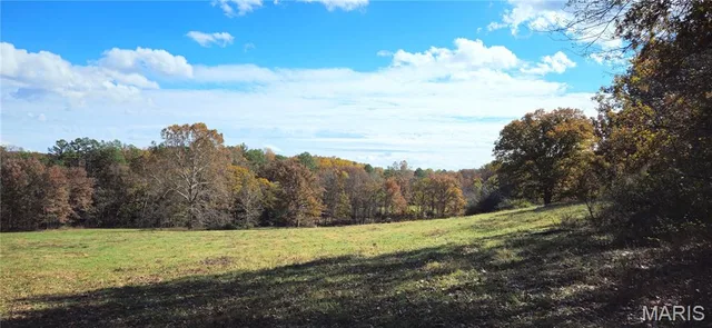205 County Road 6550, Salem MO real estate