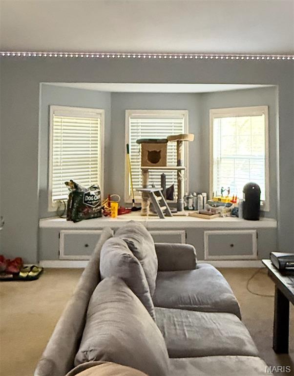 Living room — 14125 County Road 7220 Newburg Missouri real estate