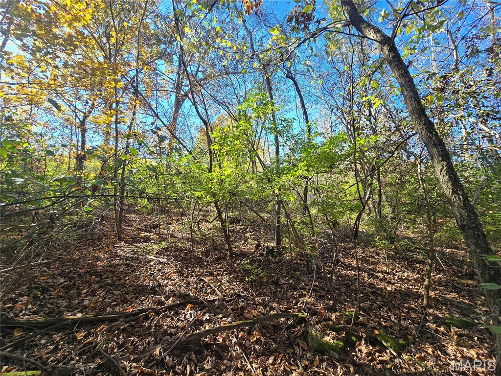 Photo 41