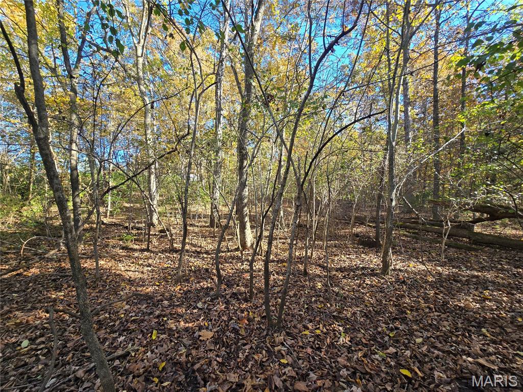Photo 42