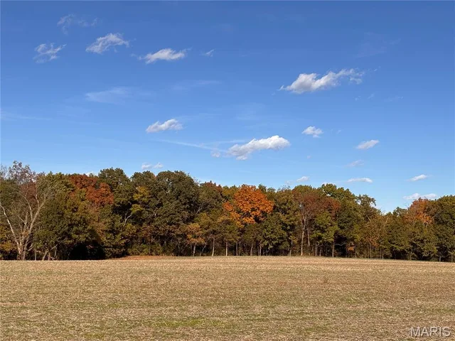 Kitchen — 95+/- Acres State Hwy AA Wright City Missouri real estate