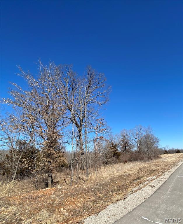 Front exterior — 0 Lot 11 Promise Drive Lebanon Missouri real estate