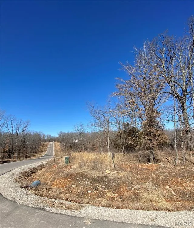 Living room — 0 Lot 11 Promise Drive Lebanon Missouri real estate