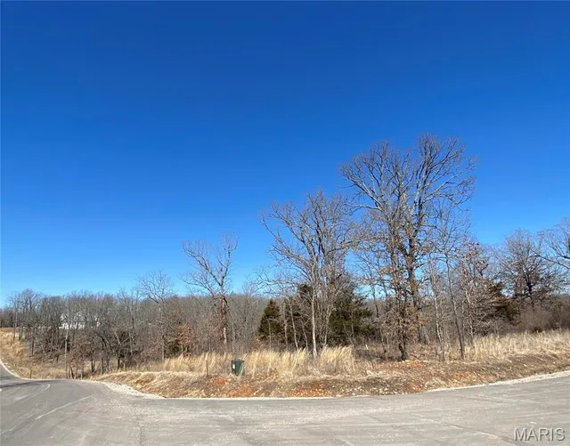 Kitchen — 0 Lot 11 Promise Drive Lebanon Missouri real estate
