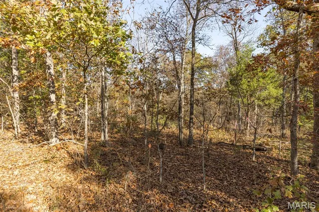 Front exterior — Lot 6 Thunder Ridge Road Richwoods Missouri real estate
