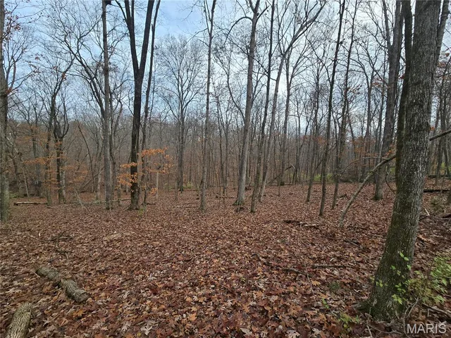 499 Sunset Echo Road, Unincorporated MO