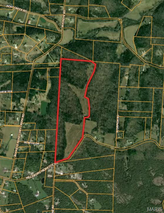 4777 Hillsboro Hematite Road Festus Missouri home for sale listed at $599,900
