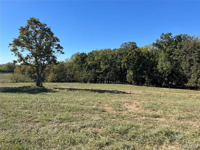 Primary bedroom — 15 (Lot 1) Autumn Ridge Drive Elsberry Missouri real estate