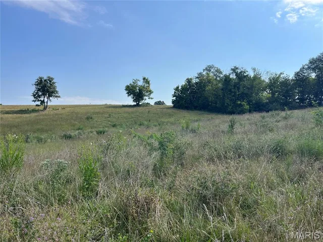 Primary bedroom — 32 (Lot 9) Autumn Ridge Drive Elsberry Missouri real estate