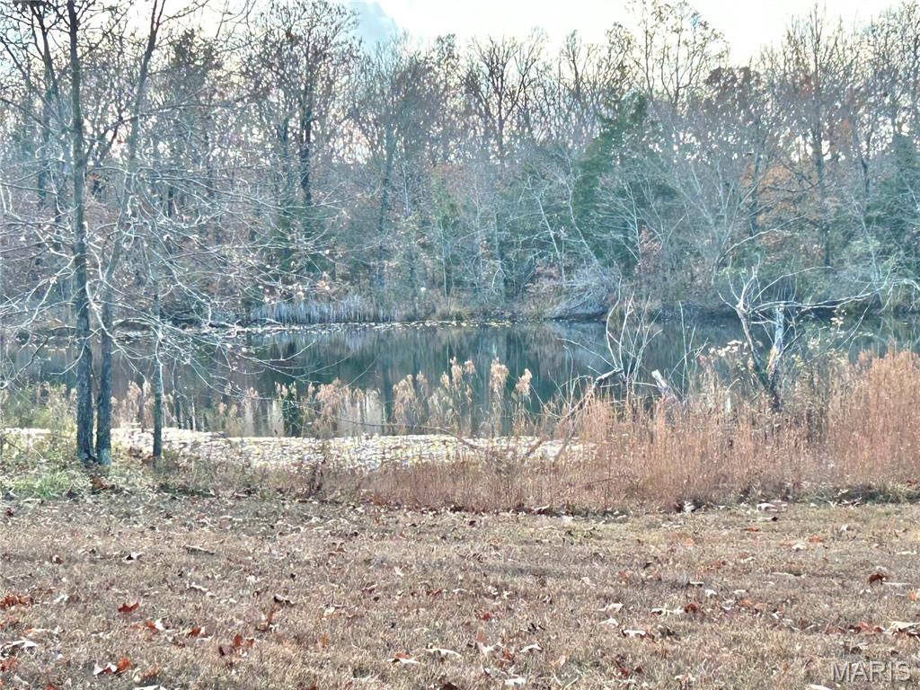 Photo 45