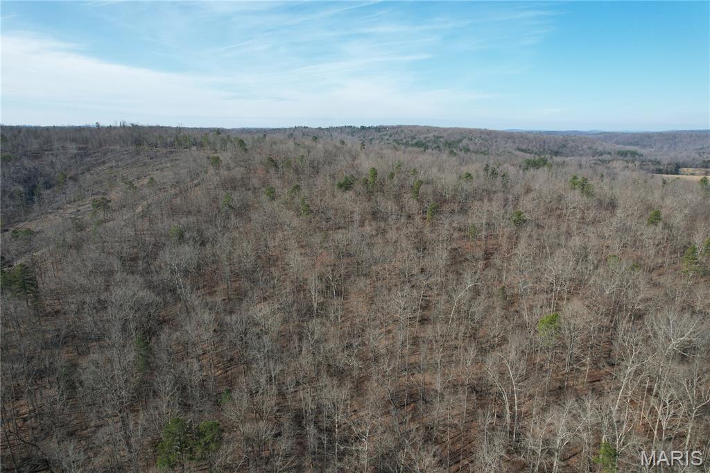 10535 Hwy 67 Fredericktown Missouri home for sale listed at $217,000