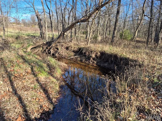 Front exterior — 0 County Road 197 - Tract 1 (22+/- Acres) Williamsburg Missouri real estate