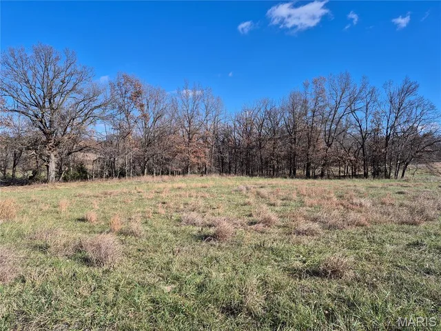 Living room — 0 County Road 197 - Tract 1 (22+/- Acres) Williamsburg Missouri real estate