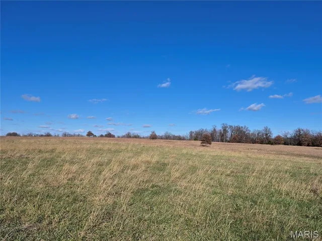 Front exterior — 0 County Road 197 - Tract 2 (30+/- Acres) Williamsburg Missouri real estate
