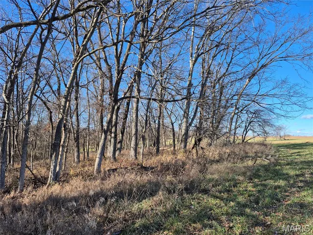 Living room — 0 County Road 197 - Tract 2 (30+/- Acres) Williamsburg Missouri real estate