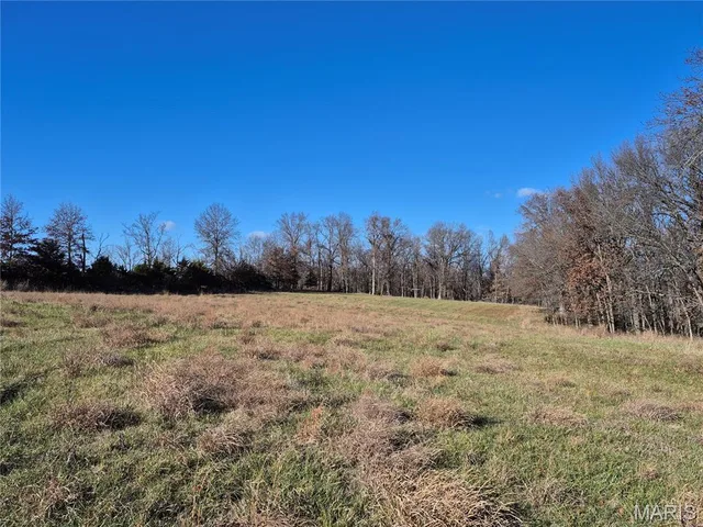 Primary bedroom — 0 County Road 197 - Tract 2 (30+/- Acres) Williamsburg Missouri real estate