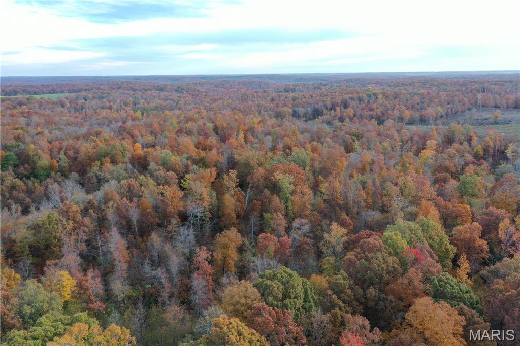 TBD Tract 3 Bobwhite Lane, Fairdealing MO