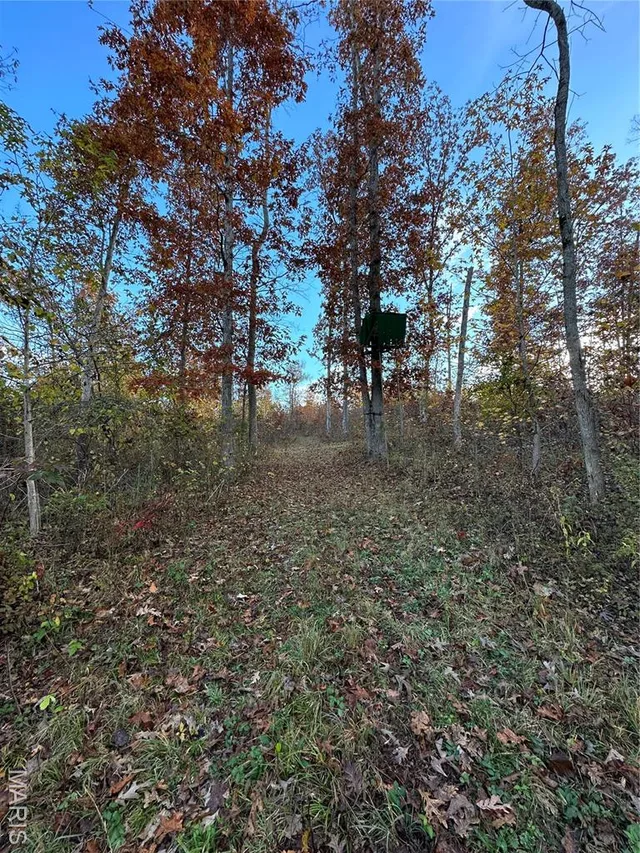 Kitchen — TBD Tract 3 Bobwhite Lane Fairdealing Missouri real estate