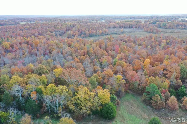 Living room — TBD Tract 5 Bobwhite Lane Fairdealing Missouri real estate