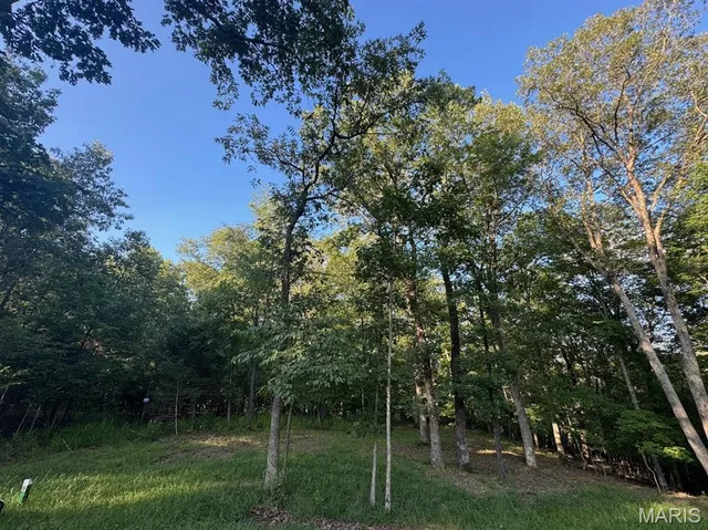 190 Steeple Point Dr. Lot #6 Drive, Defiance MO