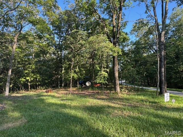 Living room — 180 Steeple Point Dr. Lot #7 Drive Defiance Missouri real estate