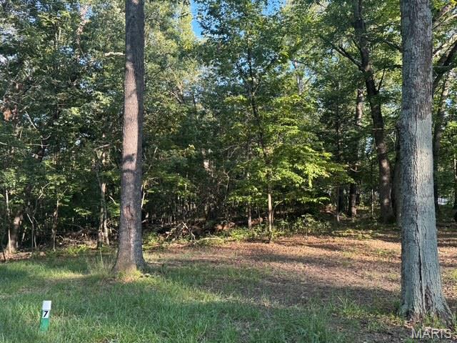 Kitchen — 180 Steeple Point Dr. Lot #7 Drive Defiance Missouri real estate