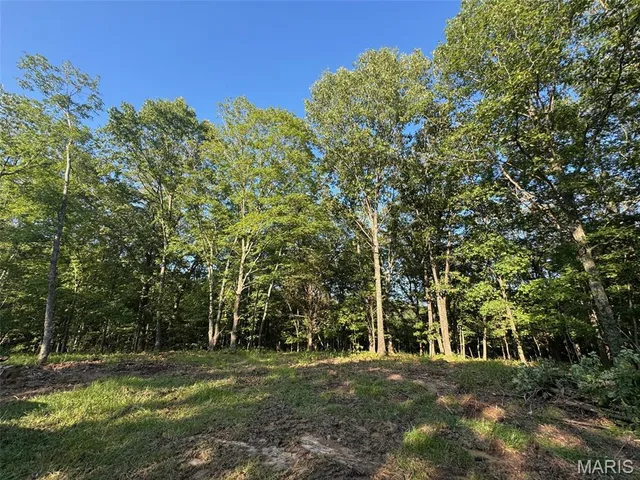Living room — 150 Steeple Point Dr. Lot #10 Drive Defiance Missouri real estate