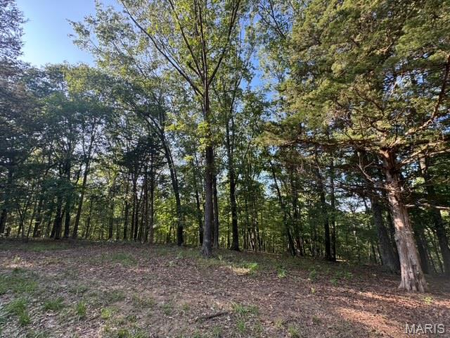 110 Steeple Point Dr. Lot # 14 Drive, Defiance MO