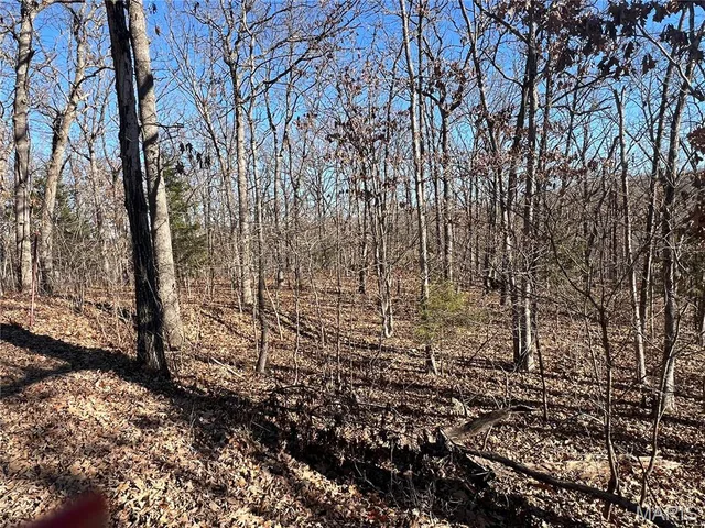 TBD Thong Tree Road, Camdenton MO