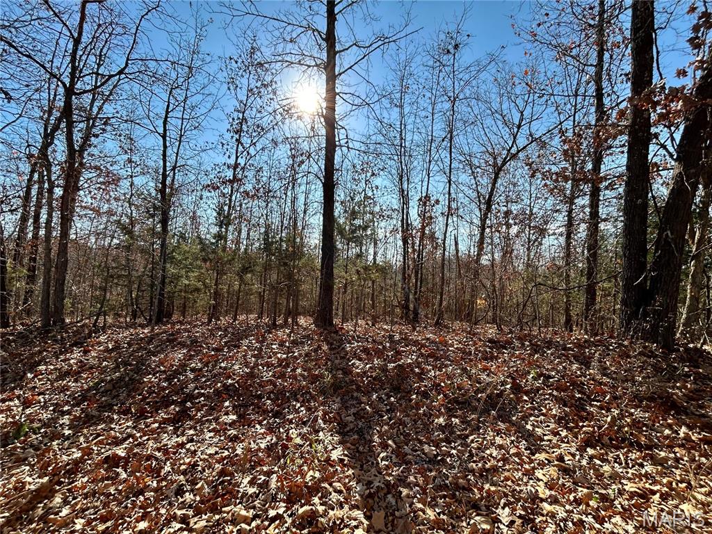 Lots 12-17 County Road 4253 Salem Missouri home for sale listed at $31,900