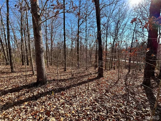 Front exterior — Lots 12-17 County Road 4253 Salem Missouri real estate
