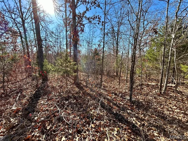 Kitchen — Lots 12-17 County Road 4253 Salem Missouri real estate