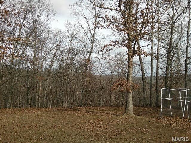 Photo 47