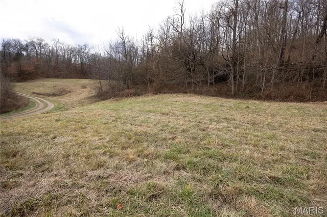 Primary bedroom — Off PCR 210 Perryville Missouri real estate