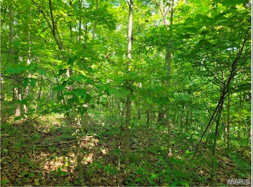00 County Highway 410 Ellington Missouri home for sale listed at $17,000