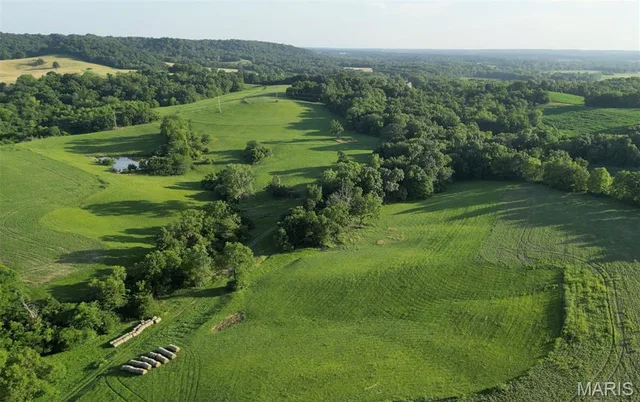 117.25 acres Hwy 79, Unincorporated MO real estate