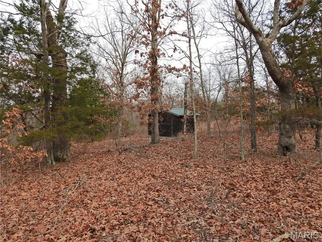 Kitchen — TBD Cedar Ford Road Cook Station Missouri real estate