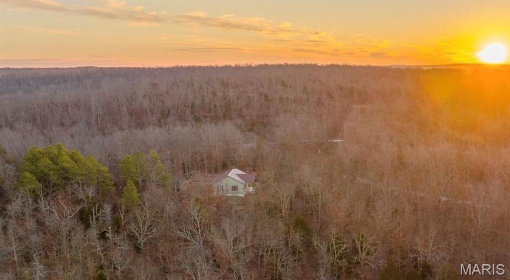 15383 County Road 6220, Edgar Springs MO