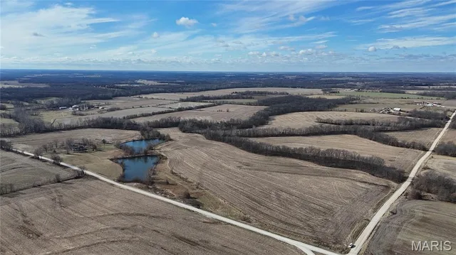 0 Pike 409, Bowling Green MO real estate