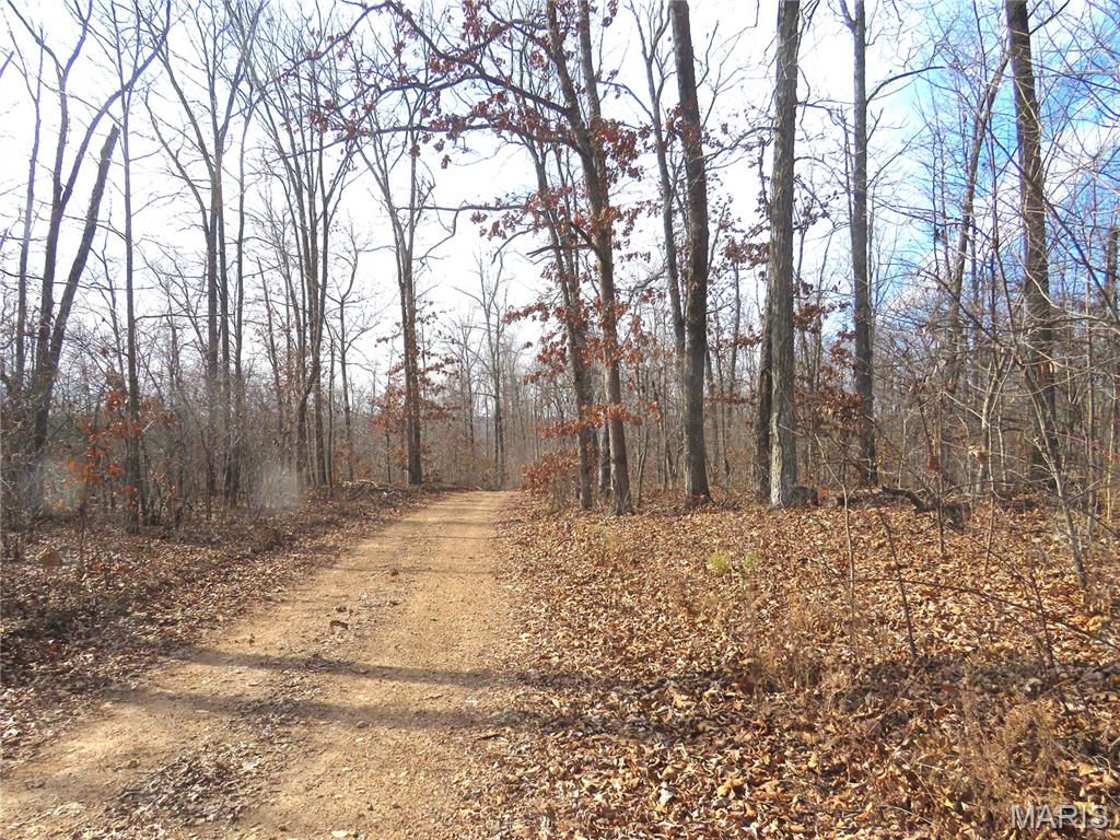 0 County Road 422, Ellington MO real estate