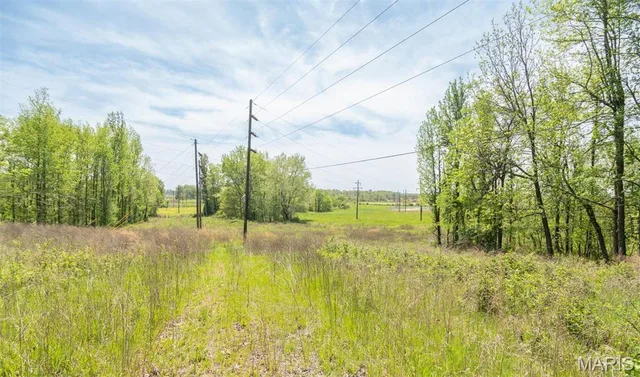 Kitchen — 0 E Highway Bloomfield Missouri real estate