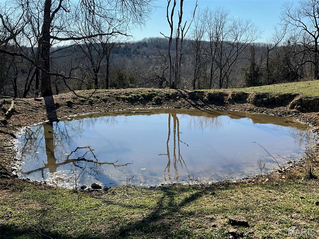 594 County Road 873, Thornfield MO real estate