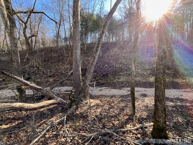 Primary bedroom — 594 County Road 873 Thornfield Missouri real estate