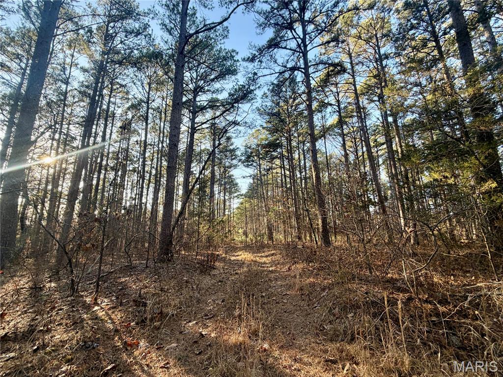 0 County Road 6575, Salem MO